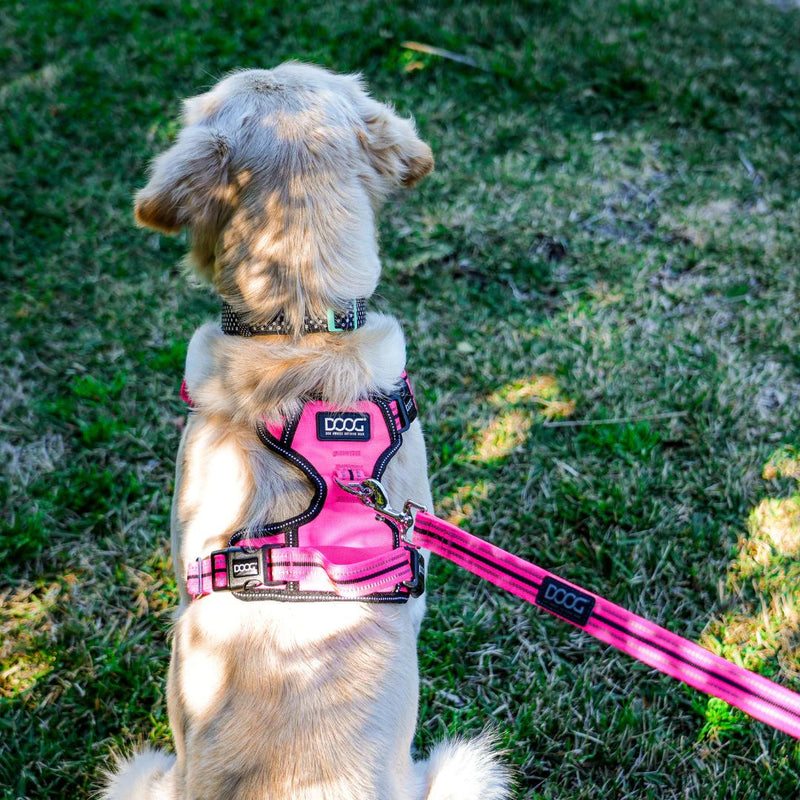 Doog Neoprene Dog Leash - (Neon High Vis) Lady | PeekAPaw Pet Supplies