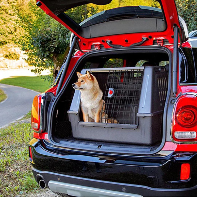 Ferplast Atlas Car Scenic Car Carrier for Dogs - Scenic | PeekAPaw Pet Supplies