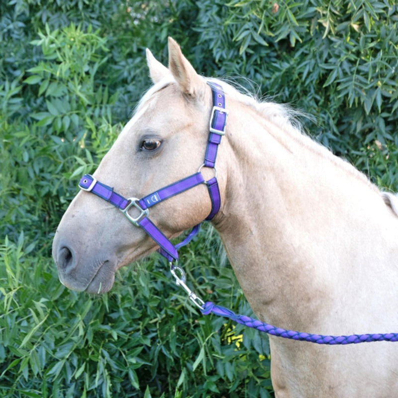 Anipal Autumn Lilac Recycled Comfort Halter & Lead Set  | PeekAPaw Pet Supplies