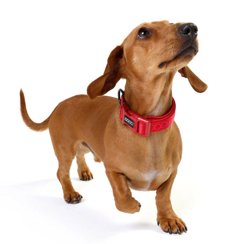 Doog Neosport Neoprene Dog Collar - Red