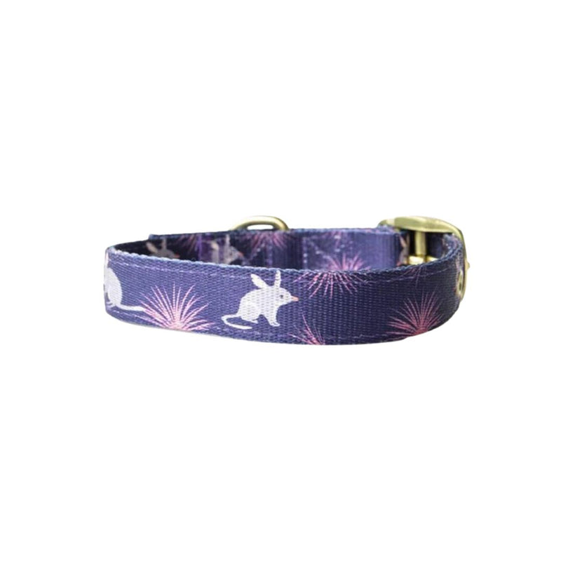 Anipal Billie the Bilby Dog Collar | PeekAPaw Pet Supplies