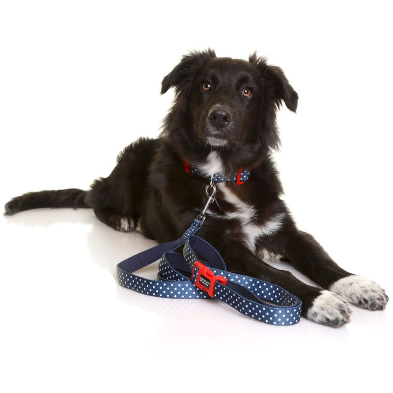 Doog Clip It Neoprene Dog Leash - Stella | PeekAPaw Pet Supplies