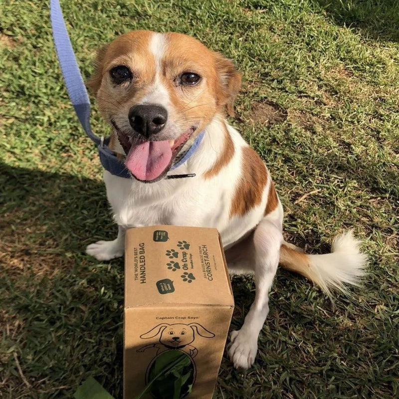 Oh Crap Compostable Dog Poop Bags with Handles