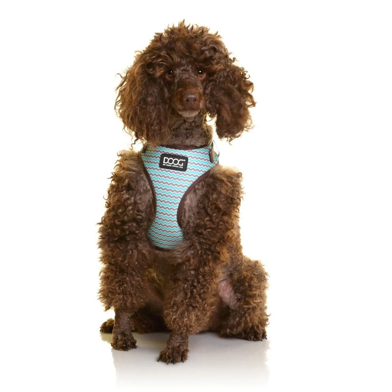 Doog Neoflex Soft Dog Harness - Benji | PeekAPaw Pet Supplies