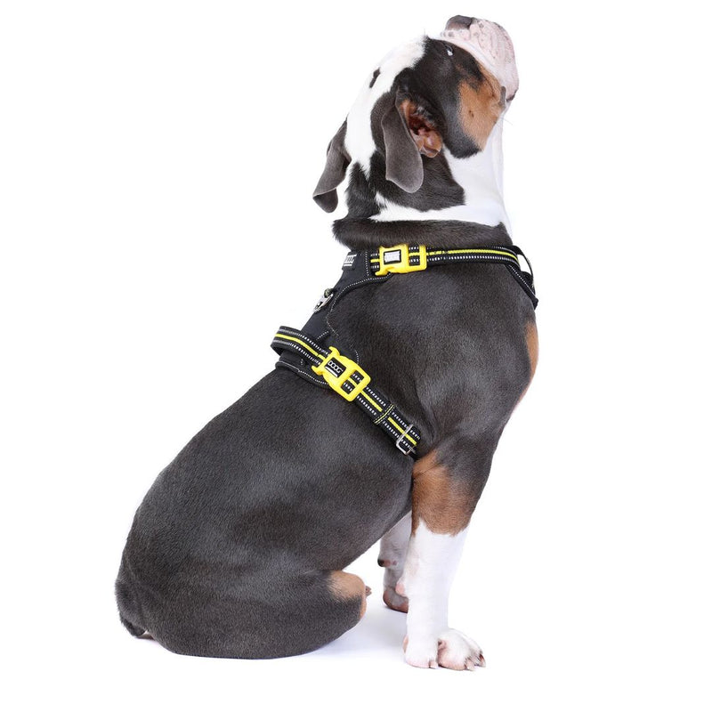 Doog Neotech Dog Harness - (Neon High Vis) Bolt | PeekAPaw Pet Supplies