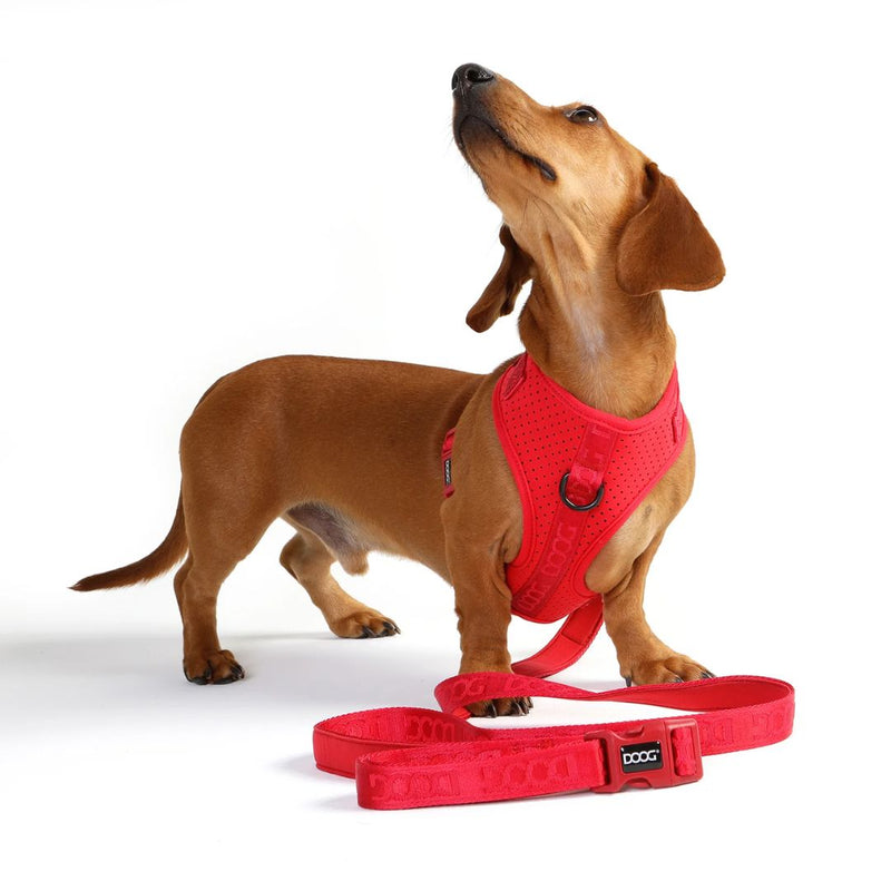 Doog Neosport Clip It Neoprene Dog Leash - Red  | PeekAPaw Pet Supplies