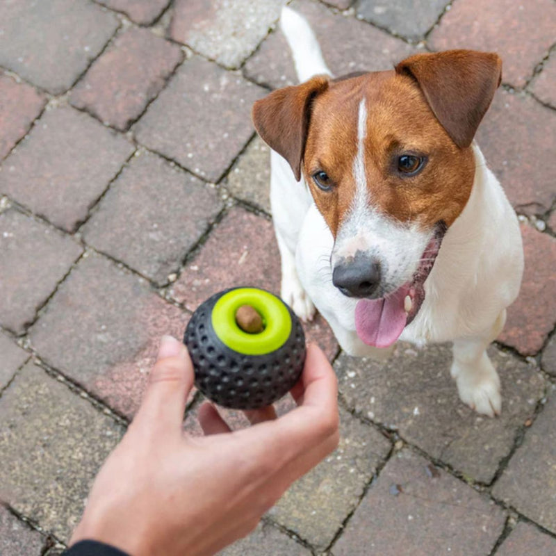 Ferplast Chewa Boing Superior Bounce Balls with Treat Dispenser | PeekAPaw Pet Supplies