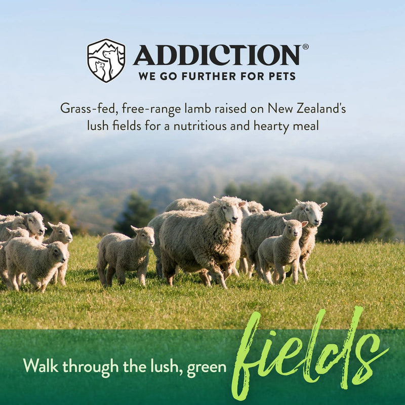 ADDICTION Herbed Lamb & Potatoes Raw Alternative Dog Food