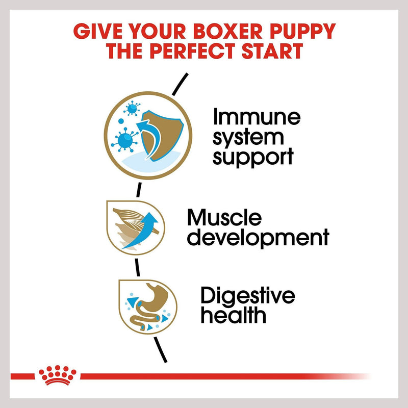 Royal Canin Boxer Puppy