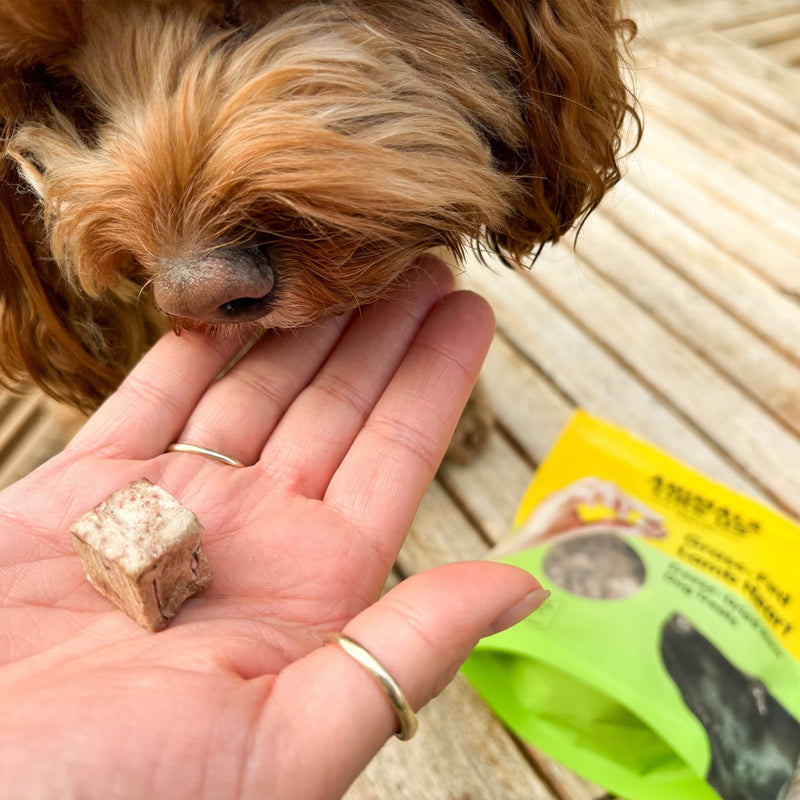 Animals Like Us Freeze Dried Dog Treats Grass-Fed Lamb Heart