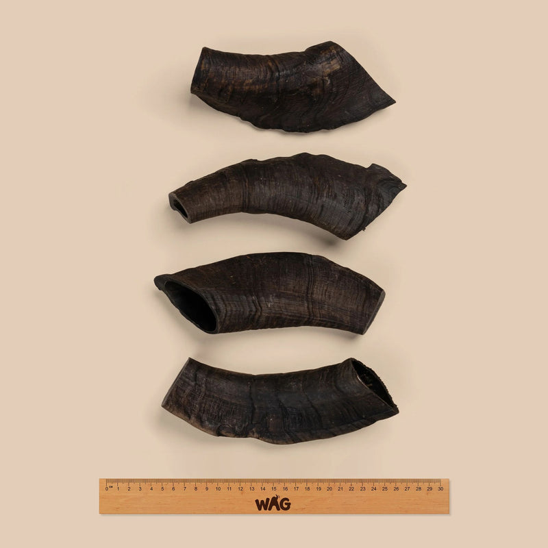 WAG Goat Horn