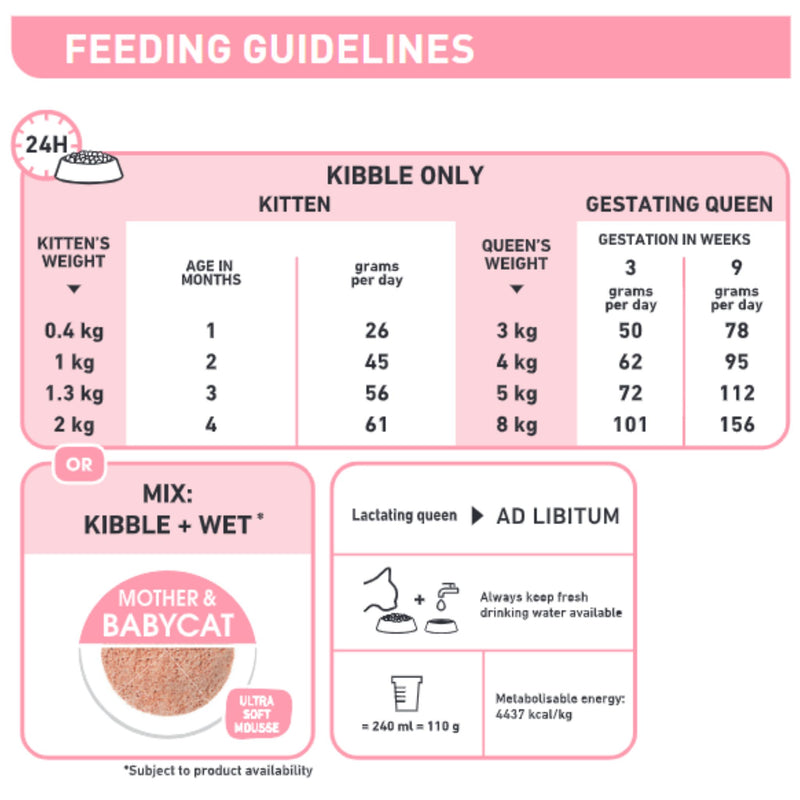 Royal Canin Mother & Babycat Dry Cat Food