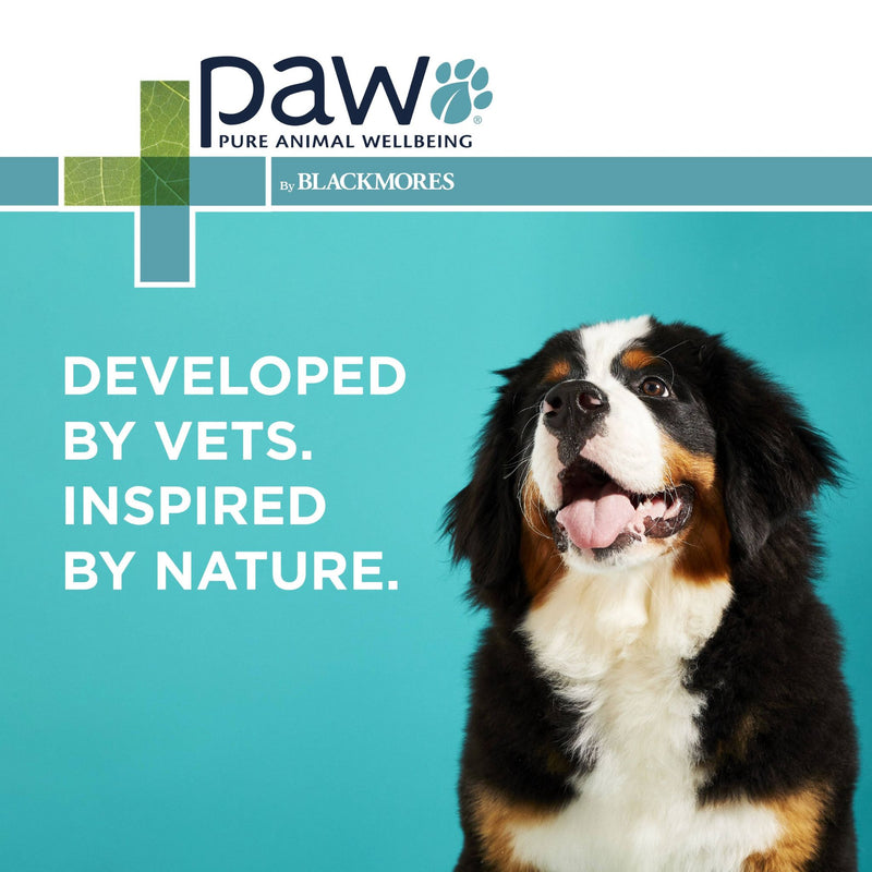 PAW by Blackmores Puppy Care Digest + Protect