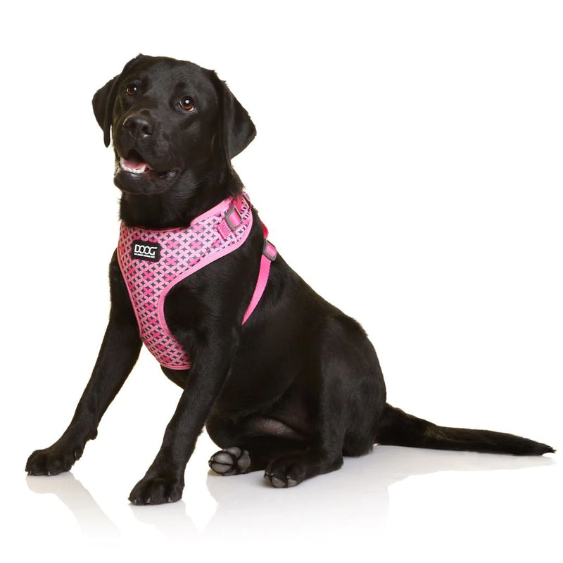 Doog Neoflex Soft Dog Harness - Toto | PeekAPaw Pet Supplies