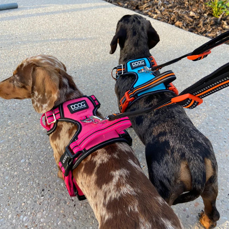 Doog Neotech Dog Harness - (Neon High Vis) Beethoven | PeekAPaw Pet Supplies