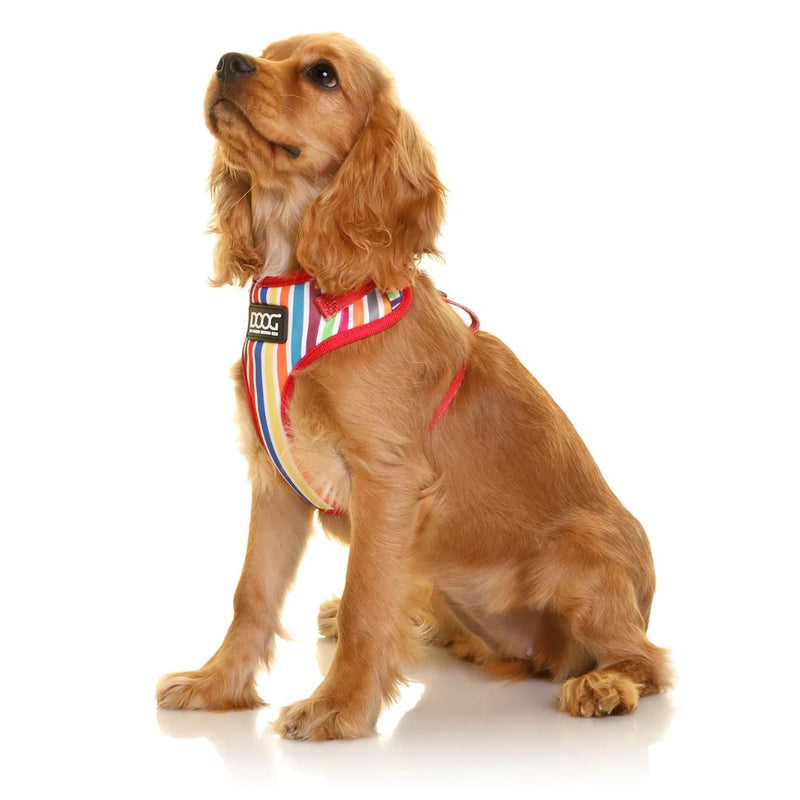 Doog Neoflex Soft Dog Harness - Scooby | PeekAPaw Pet Supplies