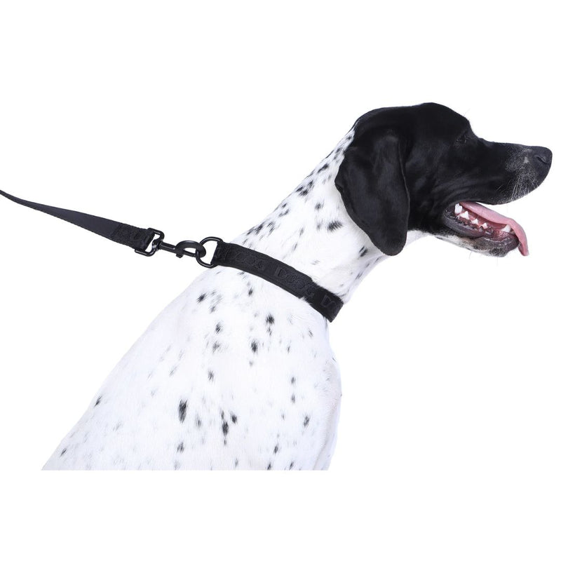 Doog Neosport Neoprene Dog Collar - Black | PeekAPaw Pet Supplies