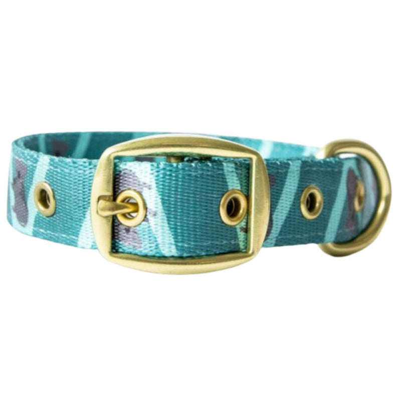 Anipal Kylo the Koala Dog Collar - Large | PeekAPaw Pet Supplies