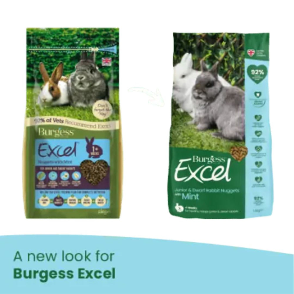 Burgess Excel Junior Dwarf Rabbits Nuggets Mint