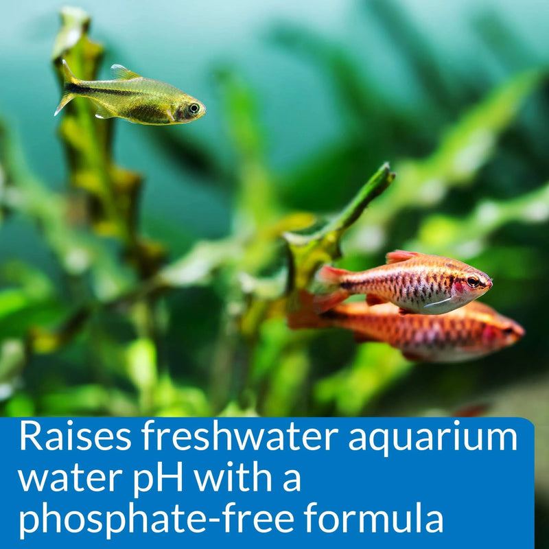 API PH Up Freshwater Aquarium Water Treatment