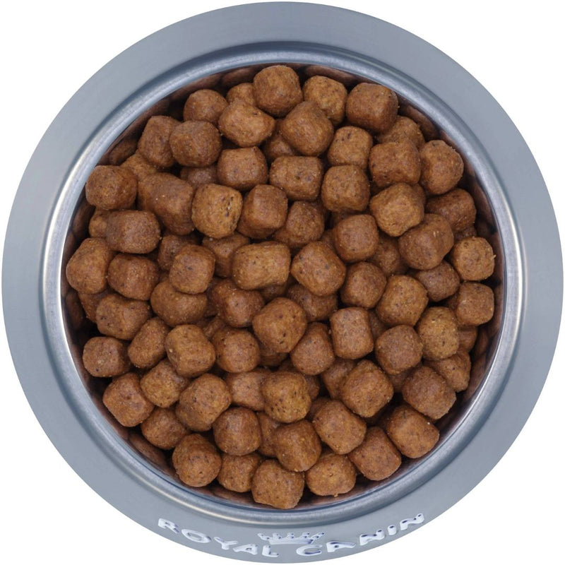 Royal Canin Maine Kibble  | Coon PeekAPaw Pet Supplies