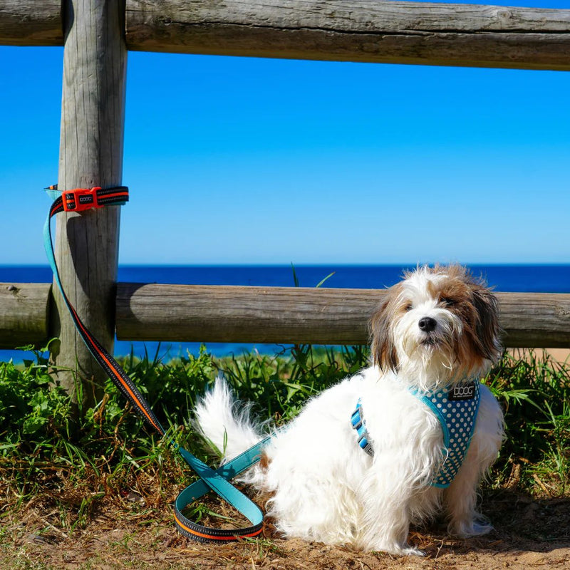 Doog Clip It Neoprene Dog Leash - (Neon High Vis) Bolt | PeekAPaw Pet Supplies