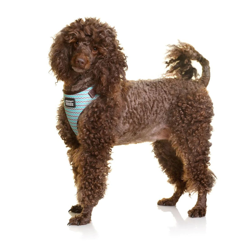 Doog Neoflex Soft Dog Harness - Benji | PeekAPaw Pet Supplies