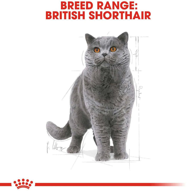Royal Canin British Shorthair Adult Dry Cat Food