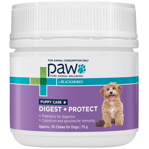 PAW by Blackmores Puppy Care Digest + Protect