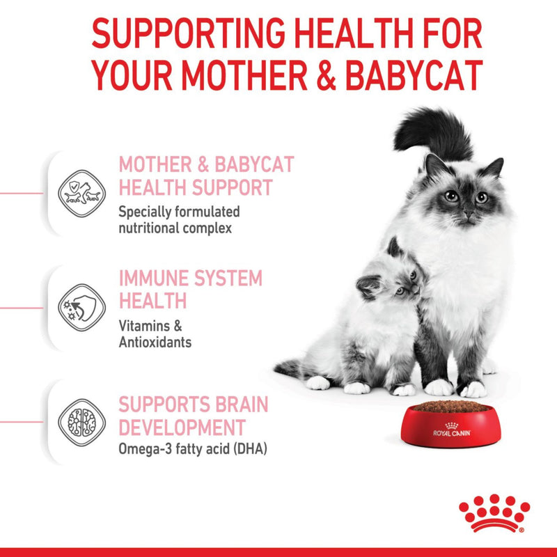 Royal Canin Mother & Babycat Dry Cat Food