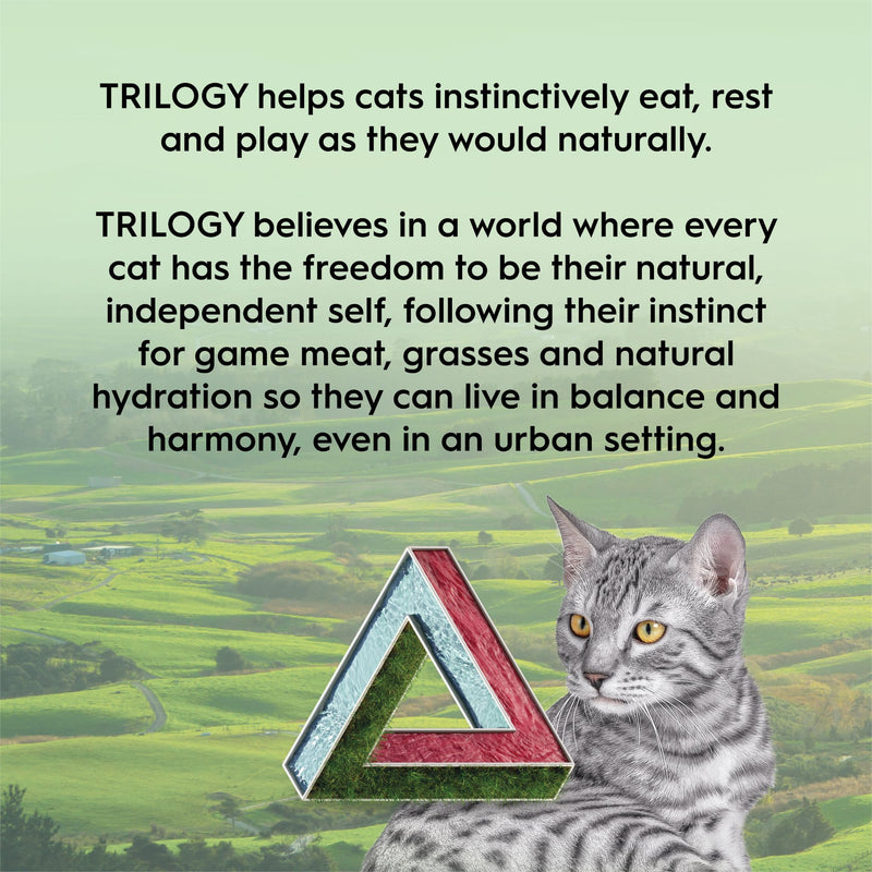 Trilogy Freeze Dried Cat Treats Lamb