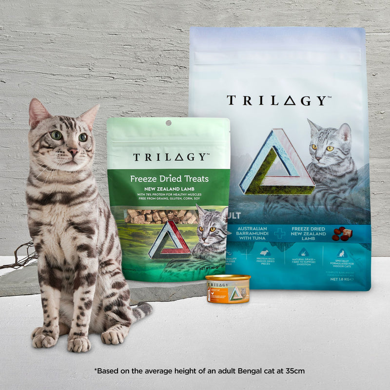 Trilogy Freeze Dried Cat Treats Lamb