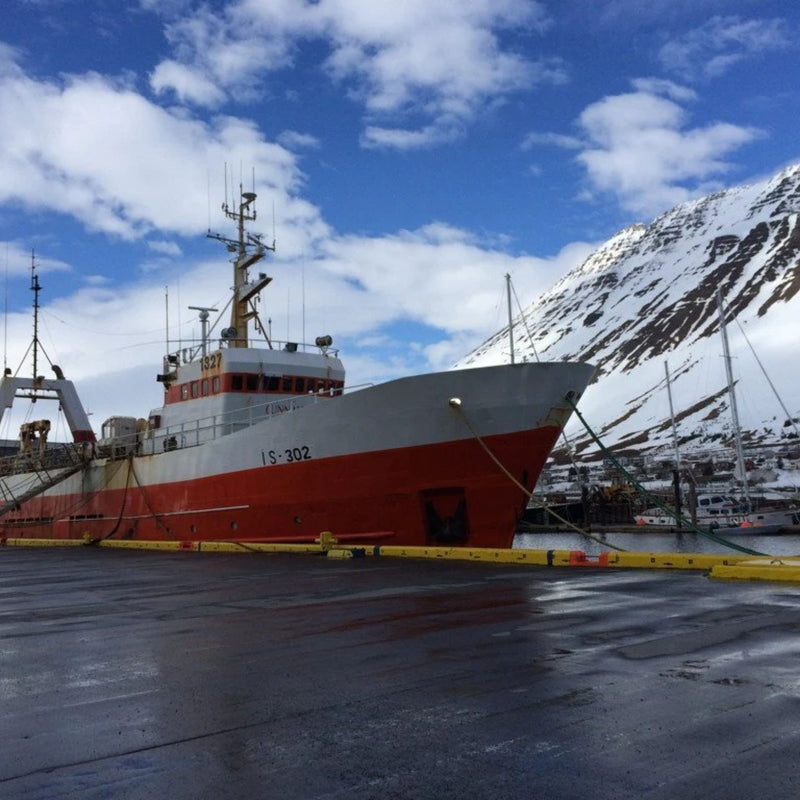 Icelandic+ Dog Treats Cod Fish Chips