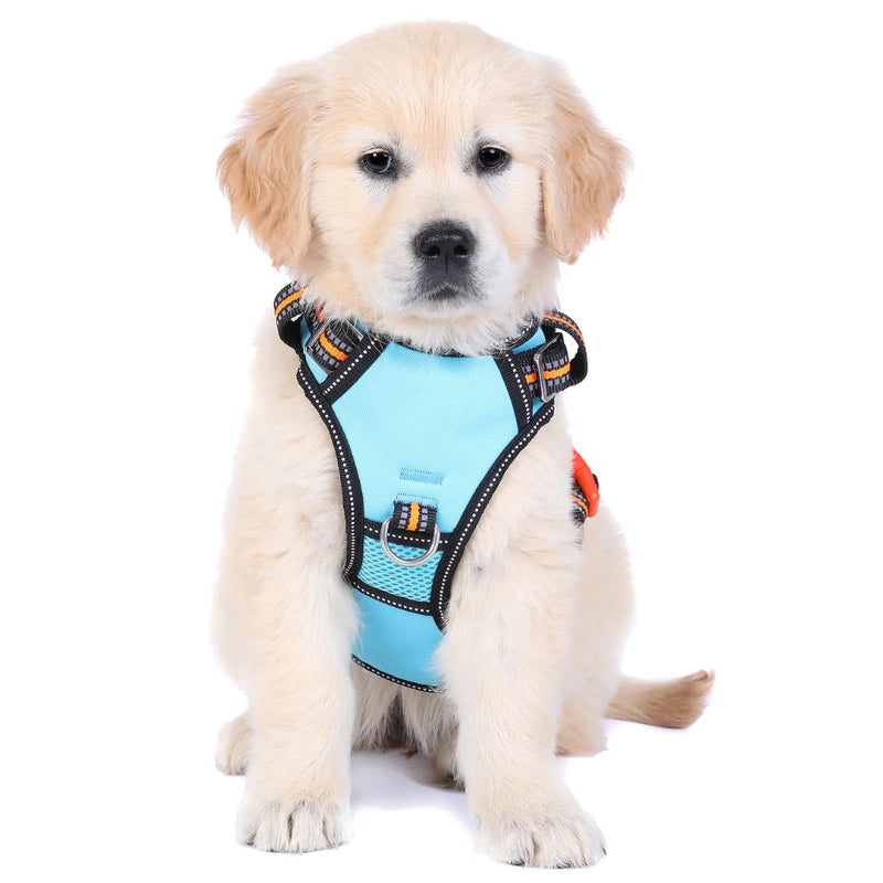 Doog Neotech Dog Harness - (Neon High Vis) Beethoven | PeekAPaw Pet Supplies