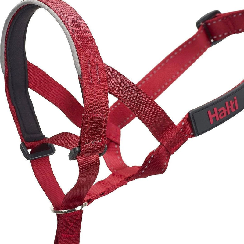 Halti Headcollar | PeekAPaw Pet Supplies