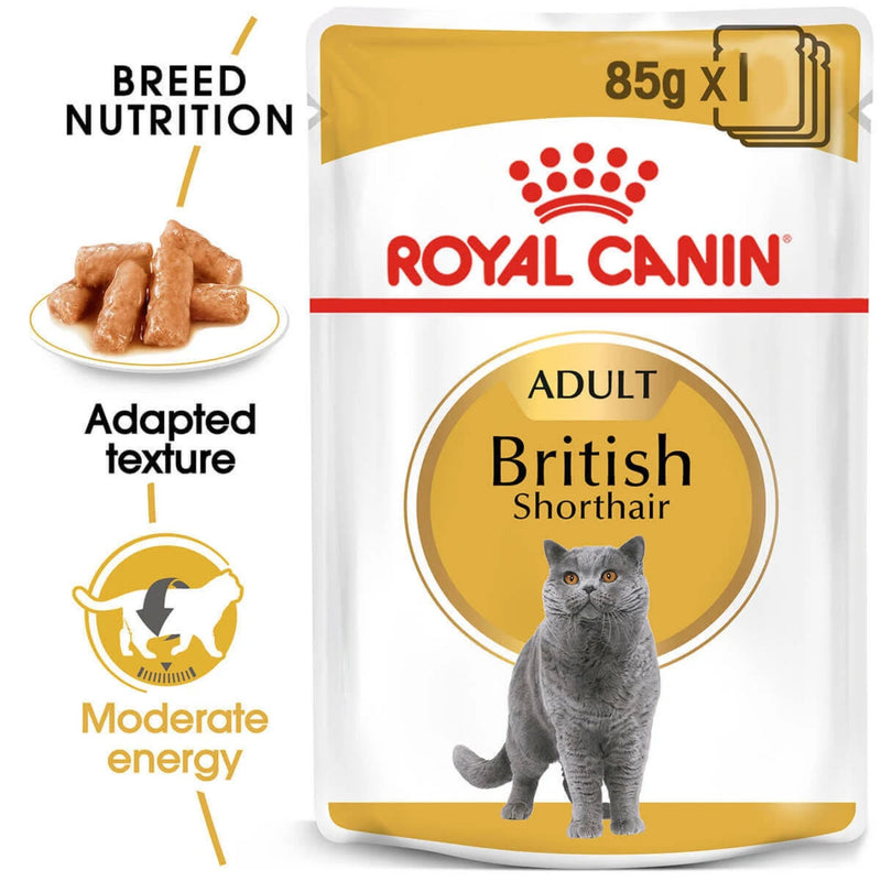 Royal Canin Wet Cat Food British Shorthair Gravy