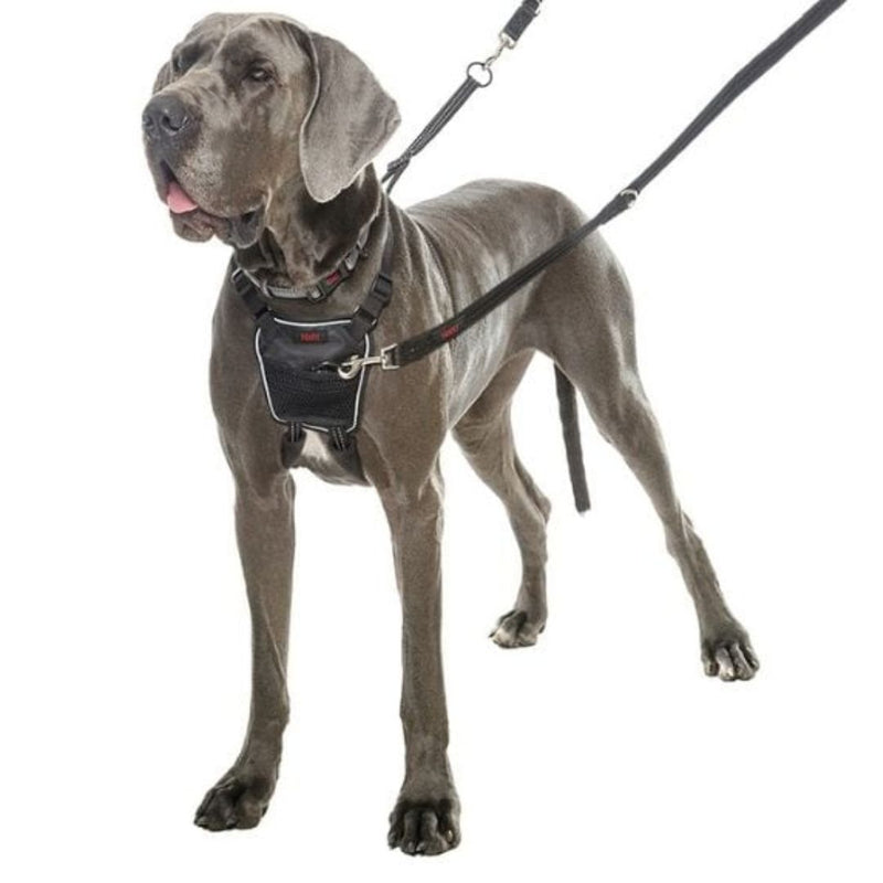 Halti No Pull Harness