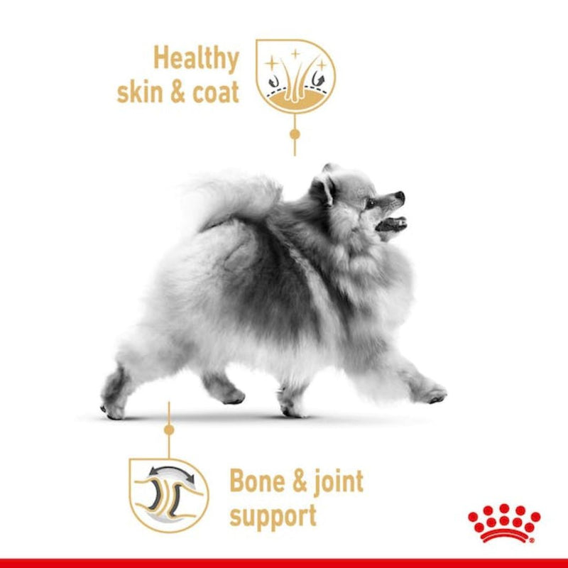 Royal Canin Pomeranian Wet Dog Food in Loaf - 85g x 12 | PeekAPaw Pet Supplies