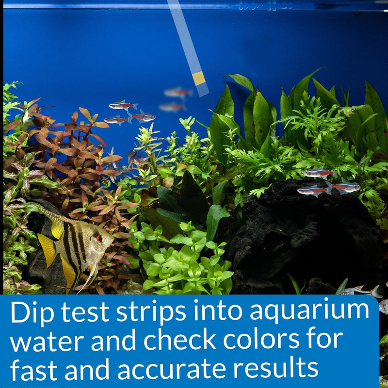 API Ammonia Freshwater And Saltwater Aquarium Test Strips