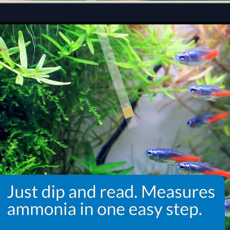 API Ammonia Freshwater And Saltwater Aquarium Test Strips