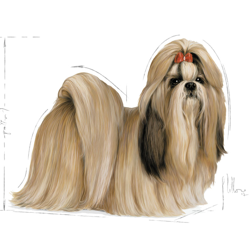 Royal Canin Shih Tzu