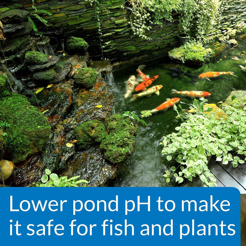 API Pond Care Ph Down Water Treatment