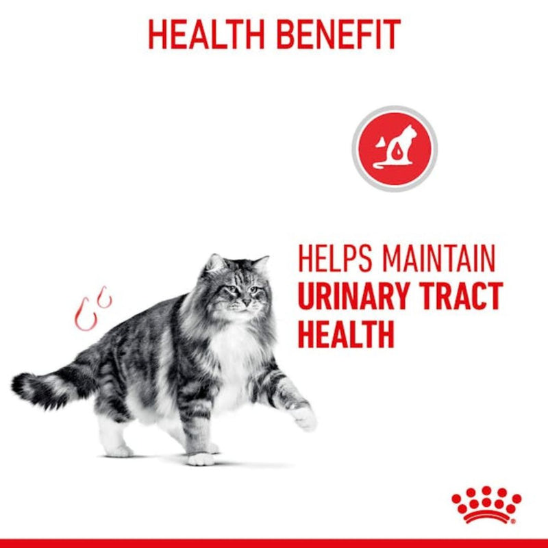 Royal Canin Urinary Care Wet Cat Food in Jelly - 85g x 12 | PeekAPaw Pet Supplies