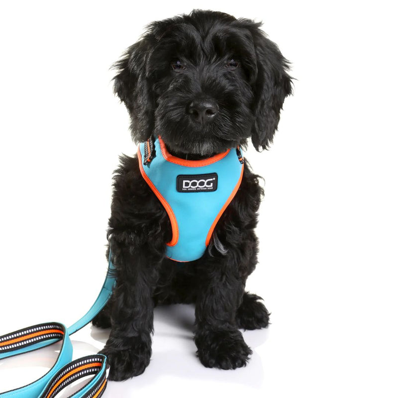 Doog Neoflex Soft Dog Harness - (Neon High Vis) Beethoven | PeekAPaw Pet Supplies