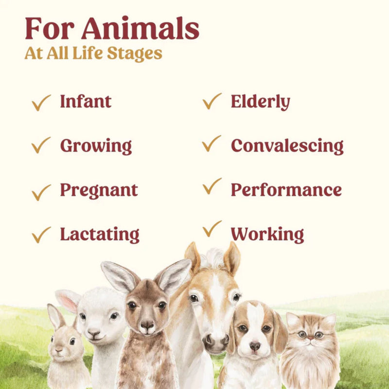 Di-Vetelact Nutritional Milk for Animals