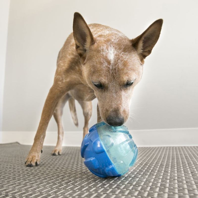 KONG Dog Toys Rewards Ball | PeekAPaw Pet Supplies