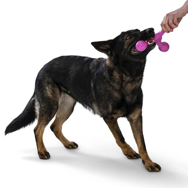 West Paw Skamp Flyer-Inspired Fetch Dog Toys