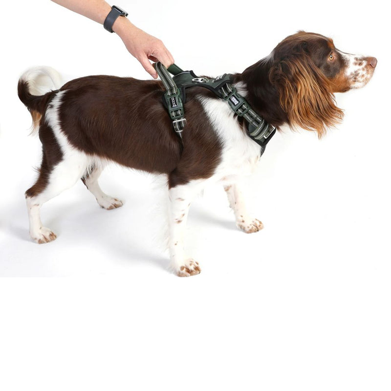 Doog Neotech Dog Harness - Green | PeekAPaw Pet Supplies