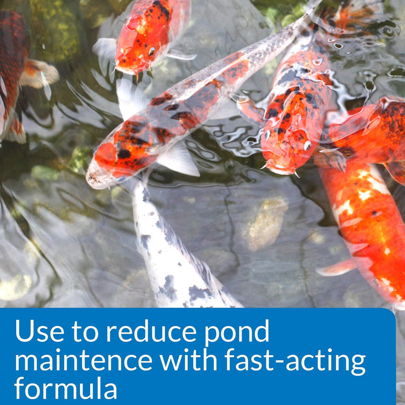 API Pond Care Simply Clear