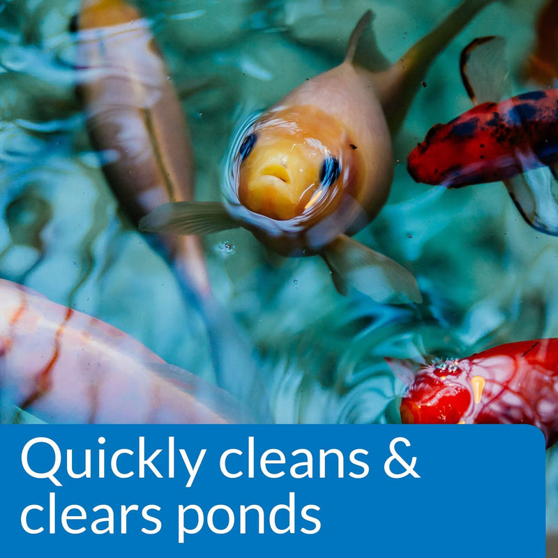 API Pond Care Simply Clear